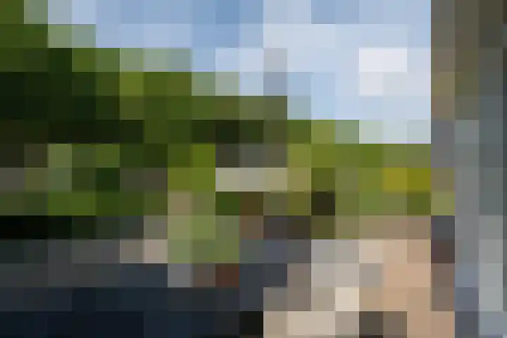 Bloemenzoom 127 Swifterbant thumbnail 44