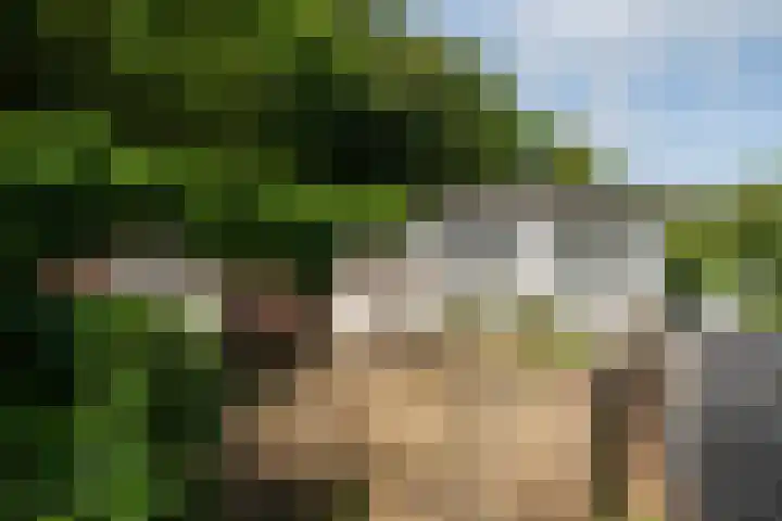 Bloemenzoom 127 Swifterbant thumbnail 45