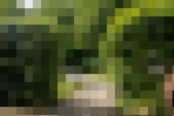 Bloemenzoom 127 Swifterbant thumbnail 46