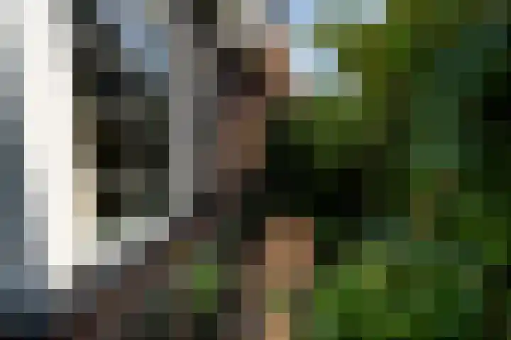Bloemenzoom 127 Swifterbant thumbnail 48