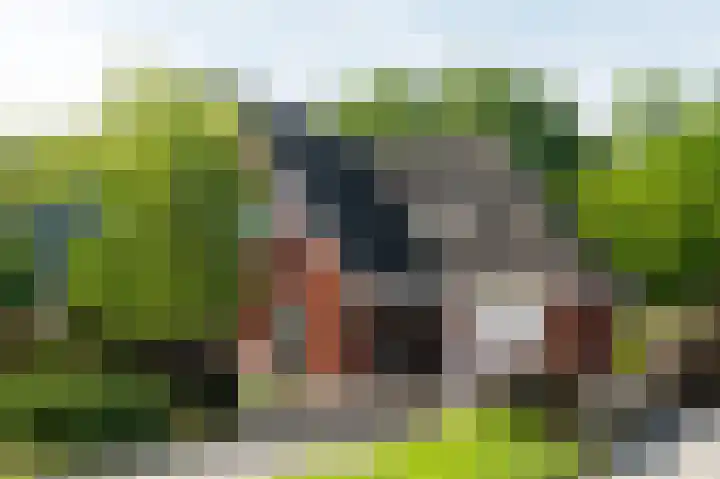 Bloemenzoom 127 Swifterbant thumbnail 50