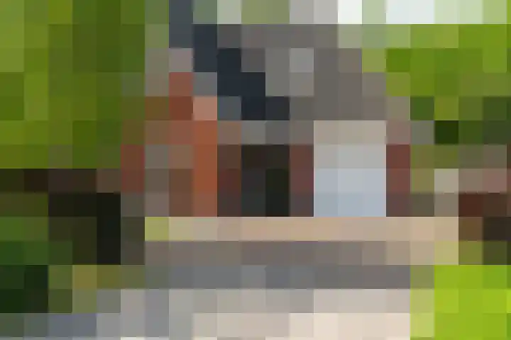 Bloemenzoom 127 Swifterbant thumbnail 7