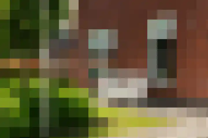 Bloemenzoom 127 Swifterbant thumbnail 8