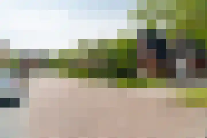 Bloemenzoom 127 Swifterbant thumbnail 9