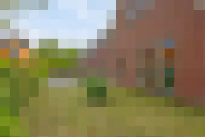 Bloemenzoom 131 Swifterbant thumbnail 10