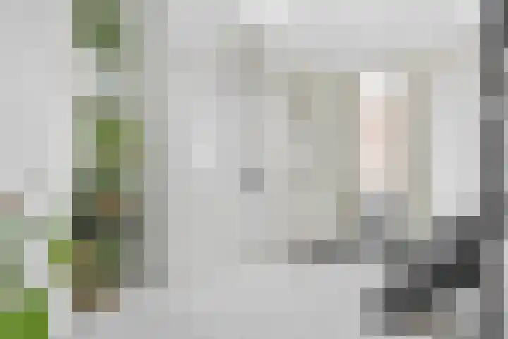 Bloemenzoom 131 Swifterbant thumbnail 11