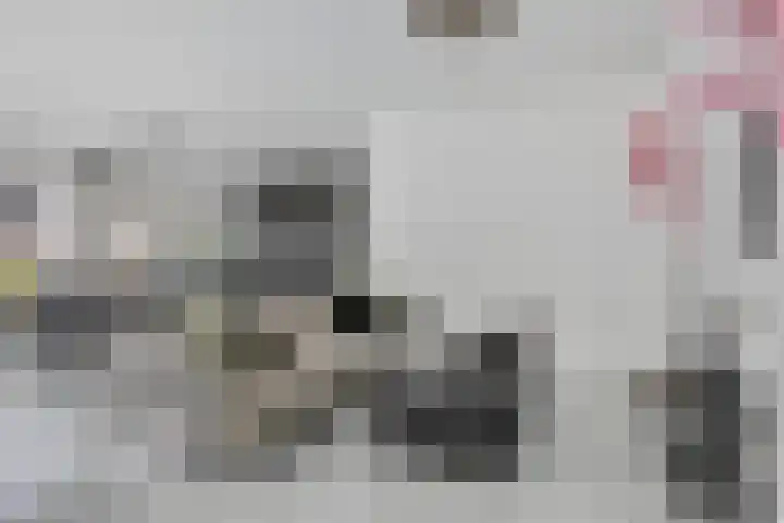 Bloemenzoom 131 Swifterbant thumbnail 15