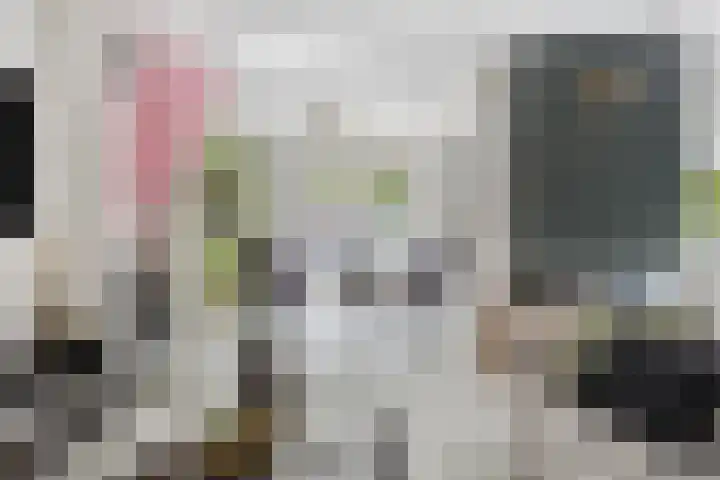 Bloemenzoom 131 Swifterbant thumbnail 16