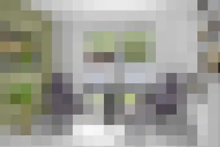 Bloemenzoom 131 Swifterbant thumbnail 17