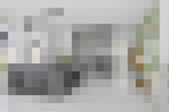 Bloemenzoom 131 Swifterbant thumbnail 18