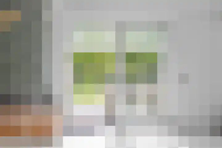 Bloemenzoom 131 Swifterbant thumbnail 19