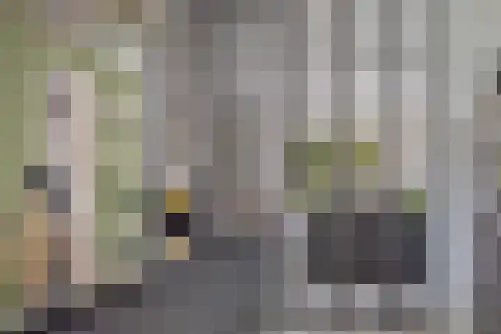 Bloemenzoom 131 Swifterbant thumbnail 23