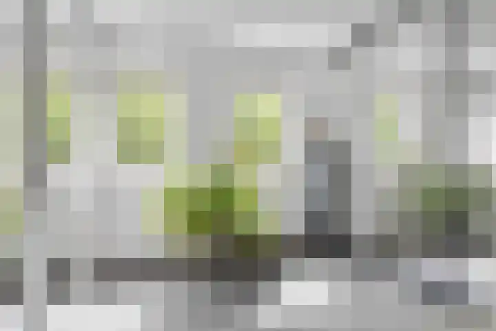 Bloemenzoom 131 Swifterbant thumbnail 32