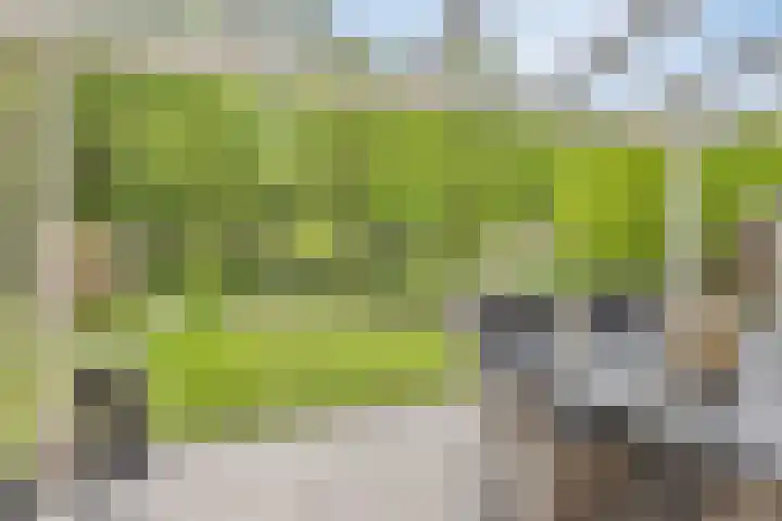 Bloemenzoom 131 Swifterbant thumbnail 39