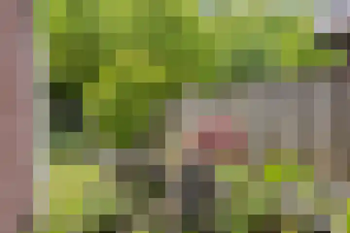 Bloemenzoom 131 Swifterbant thumbnail 41
