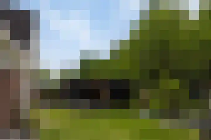 Bloemenzoom 131 Swifterbant thumbnail 45