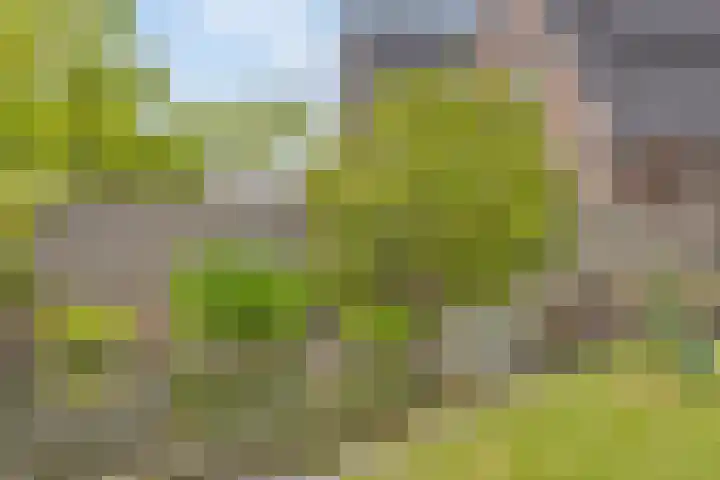 Bloemenzoom 131 Swifterbant thumbnail 46