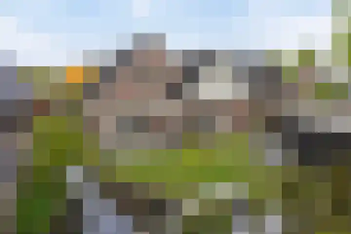 Bloemenzoom 131 Swifterbant thumbnail 47
