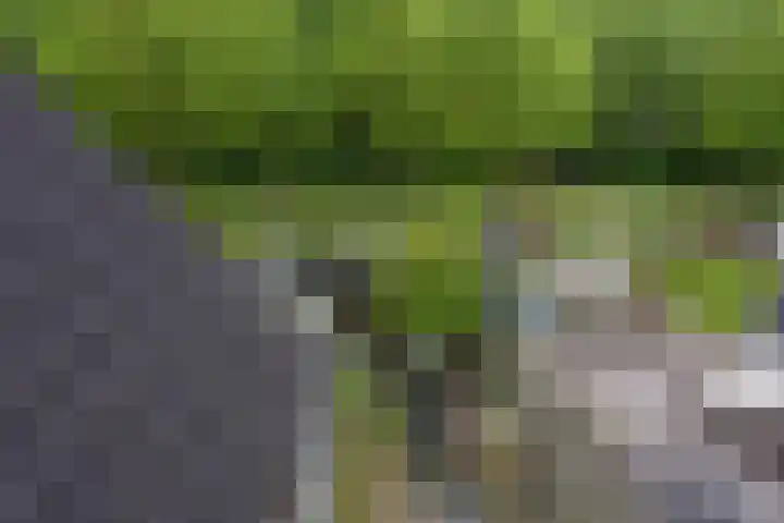 Bloemenzoom 131 Swifterbant thumbnail 48
