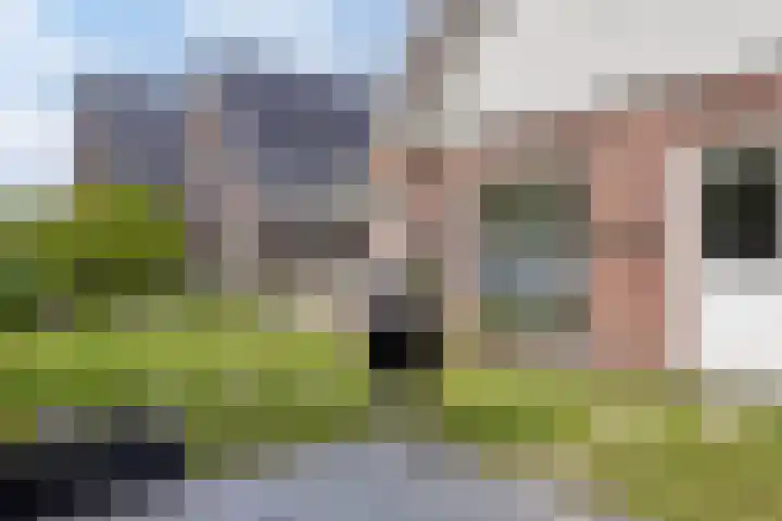 Bloemenzoom 131 Swifterbant thumbnail 49