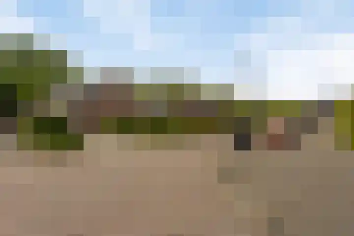 Bloemenzoom 131 Swifterbant thumbnail 5