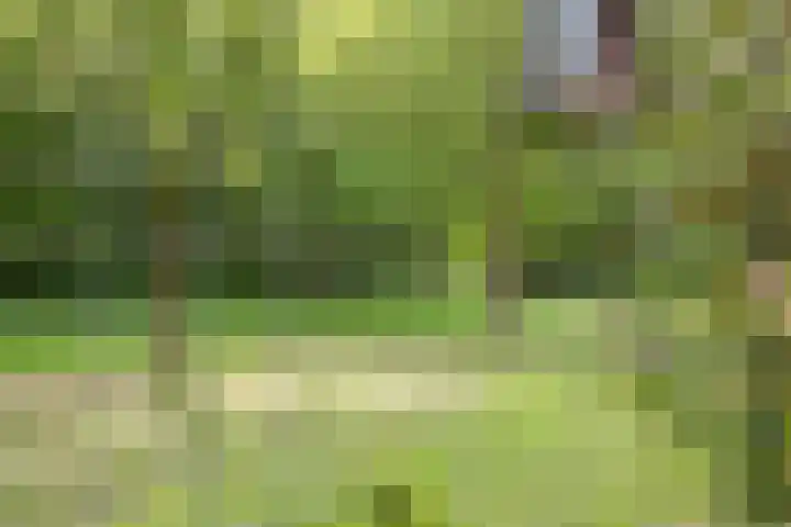 Bloemenzoom 131 Swifterbant thumbnail 50