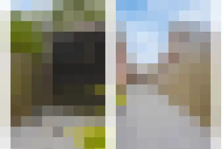 Bloemenzoom 131 Swifterbant thumbnail 51