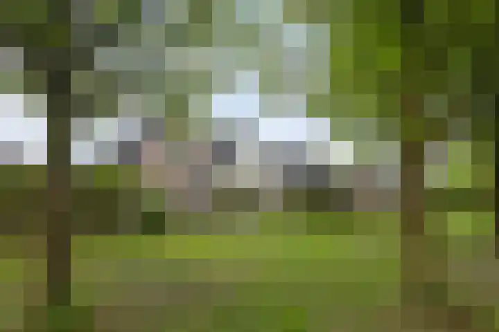 Bloemenzoom 131 Swifterbant thumbnail 53
