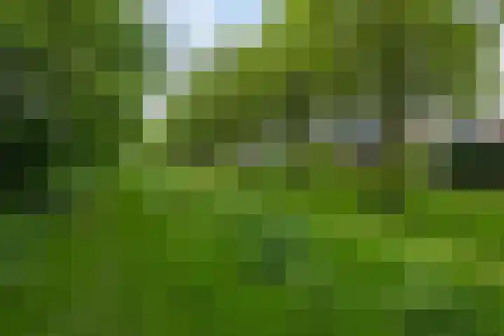 Bloemenzoom 131 Swifterbant thumbnail 54