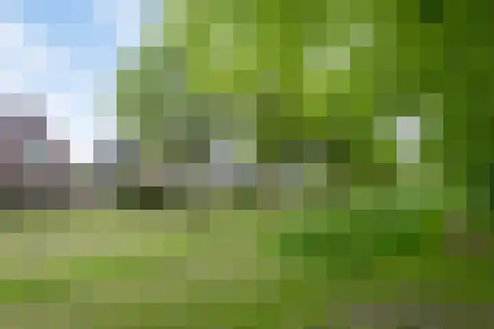 Bloemenzoom 131 Swifterbant thumbnail 55