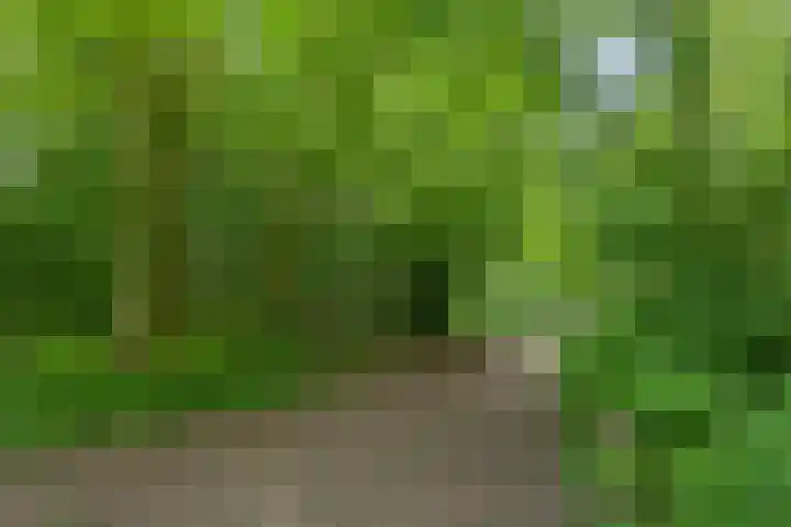 Bloemenzoom 131 Swifterbant thumbnail 56