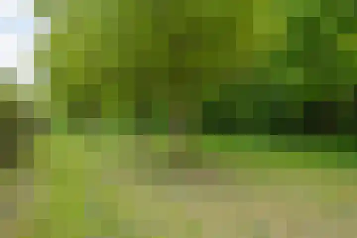 Bloemenzoom 131 Swifterbant thumbnail 57