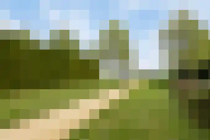 Bloemenzoom 131 Swifterbant thumbnail 58