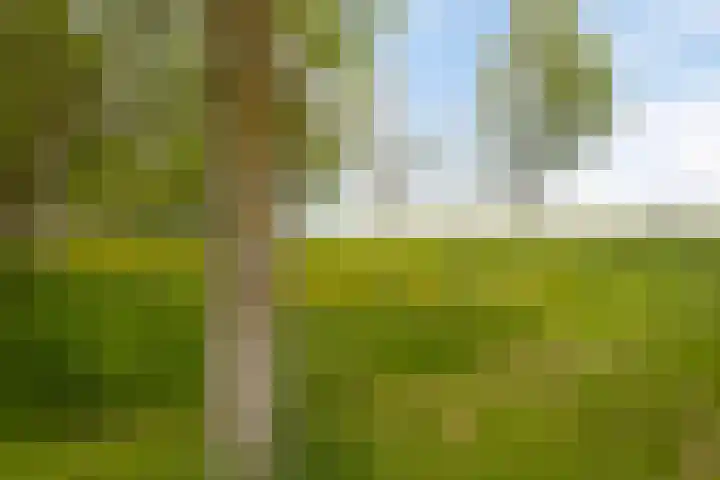 Bloemenzoom 131 Swifterbant thumbnail 59