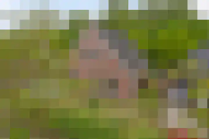 Bloemenzoom 131 Swifterbant thumbnail 6