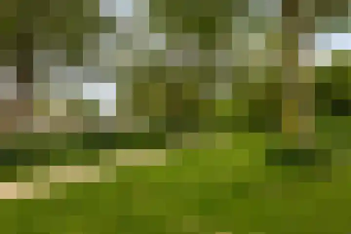 Bloemenzoom 131 Swifterbant thumbnail 60