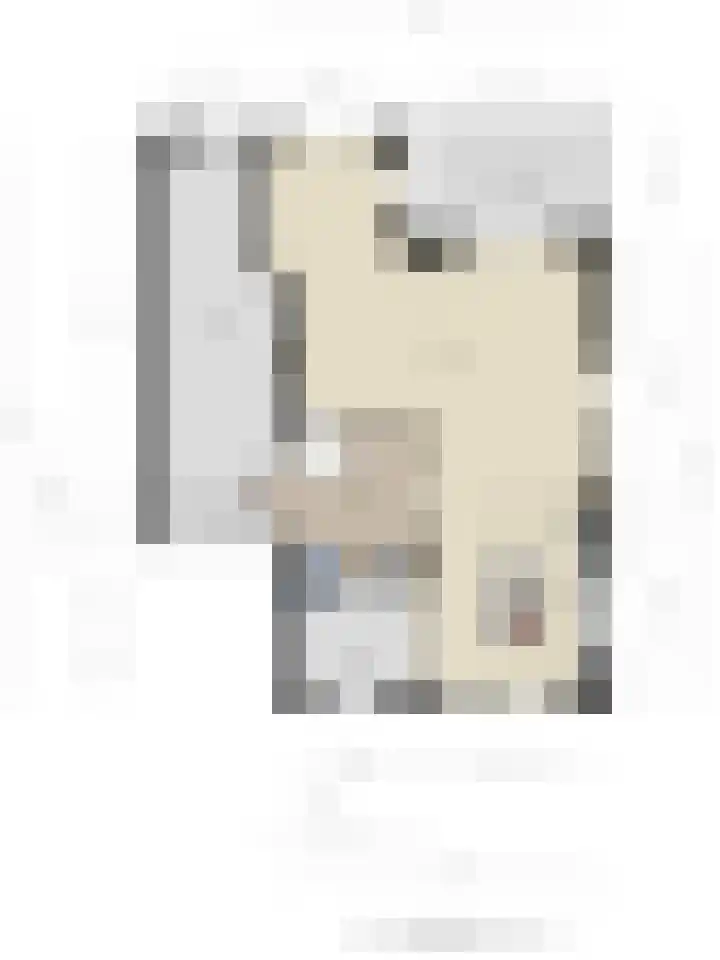 Bloemenzoom 131 Swifterbant thumbnail 61