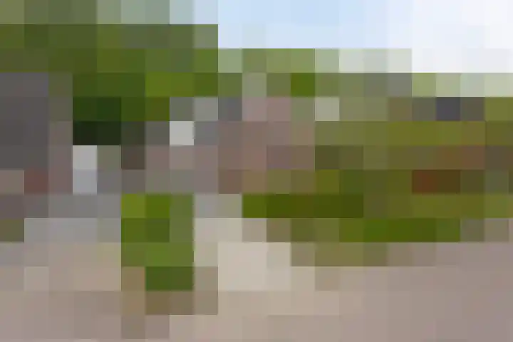 Bloemenzoom 131 Swifterbant thumbnail 66