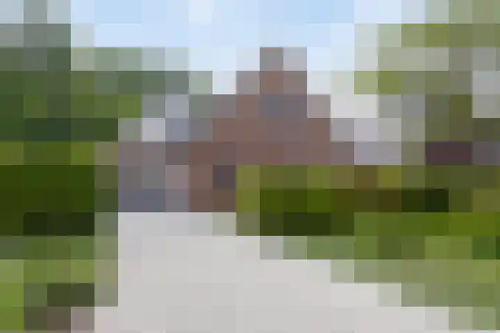 Bloemenzoom 131 Swifterbant thumbnail 7
