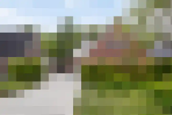 Bloemenzoom 131 Swifterbant thumbnail 8