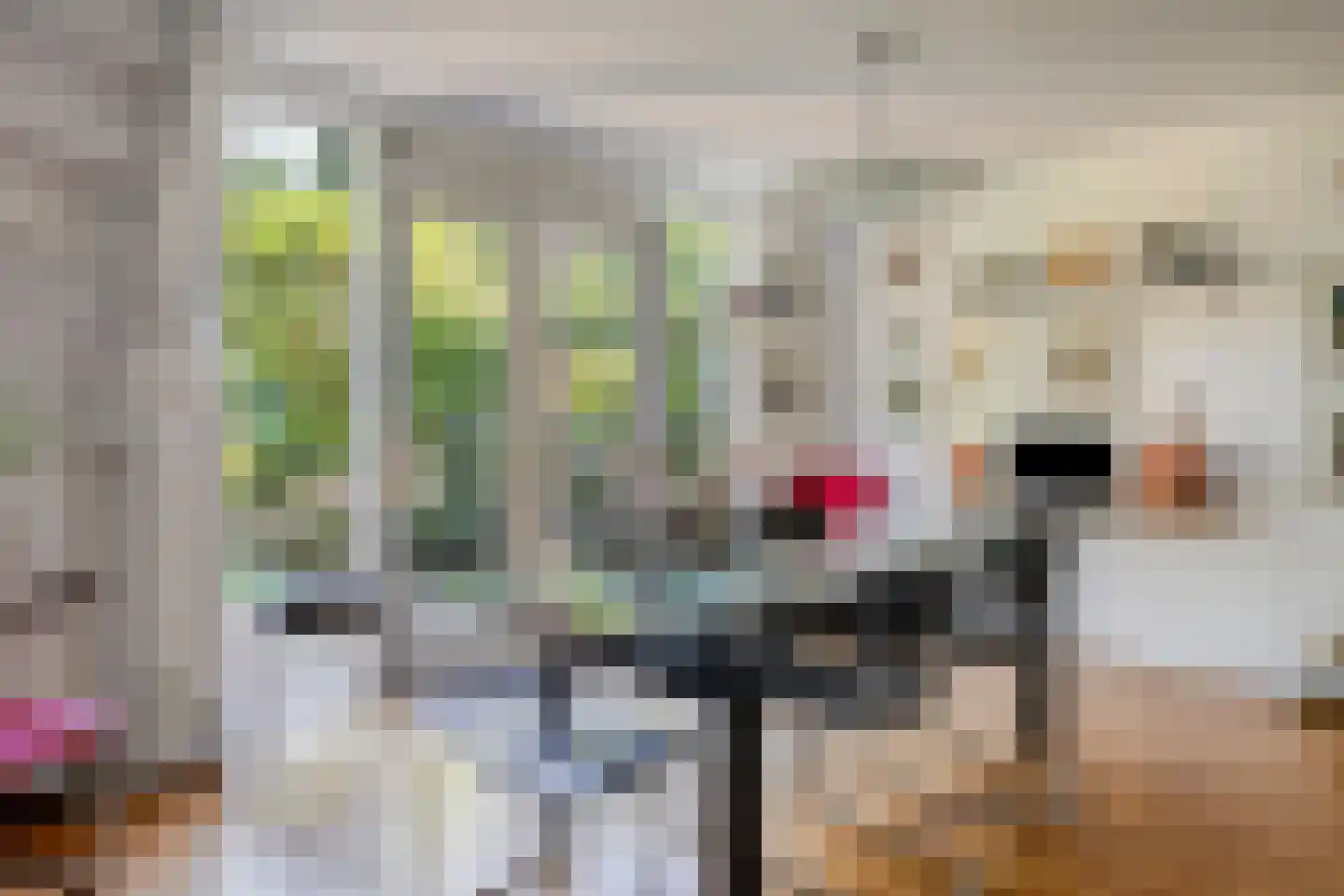Bloemersmaborg 21 Groningen thumbnail 14