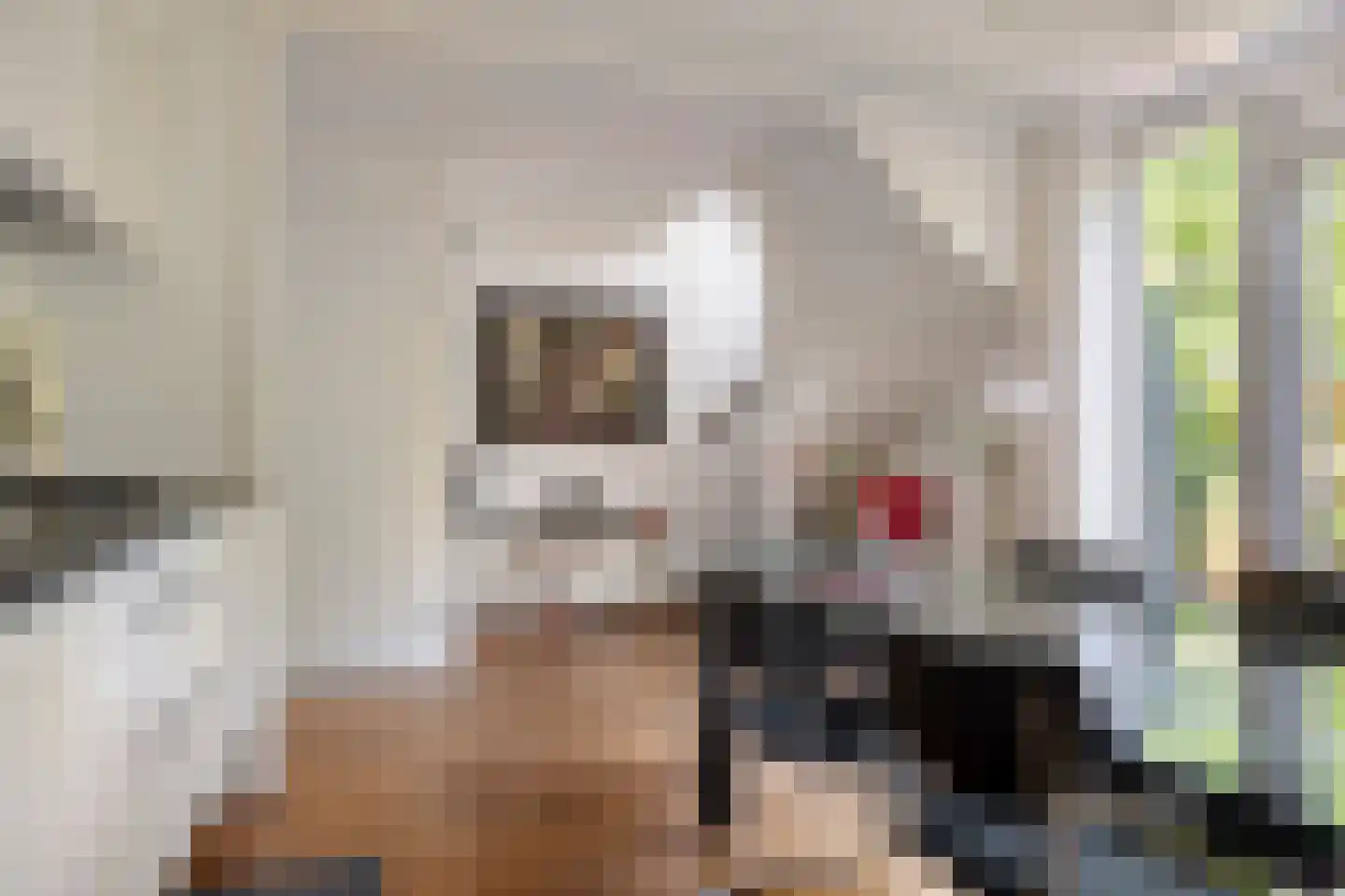 Bloemersmaborg 21 Groningen thumbnail 15