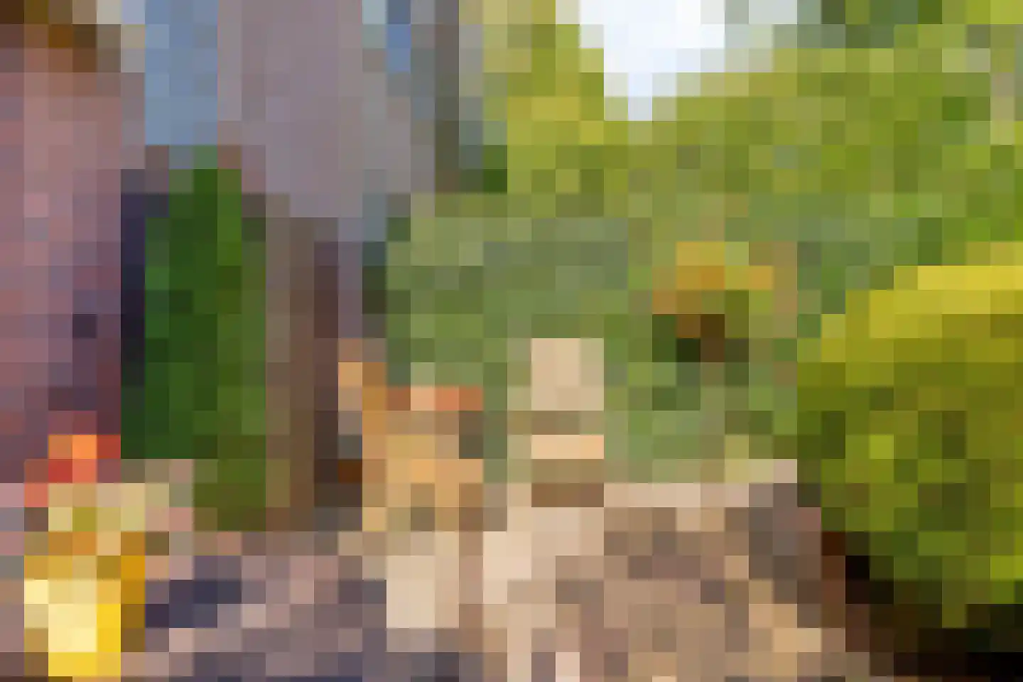 Bloemersmaborg 21 Groningen thumbnail 17