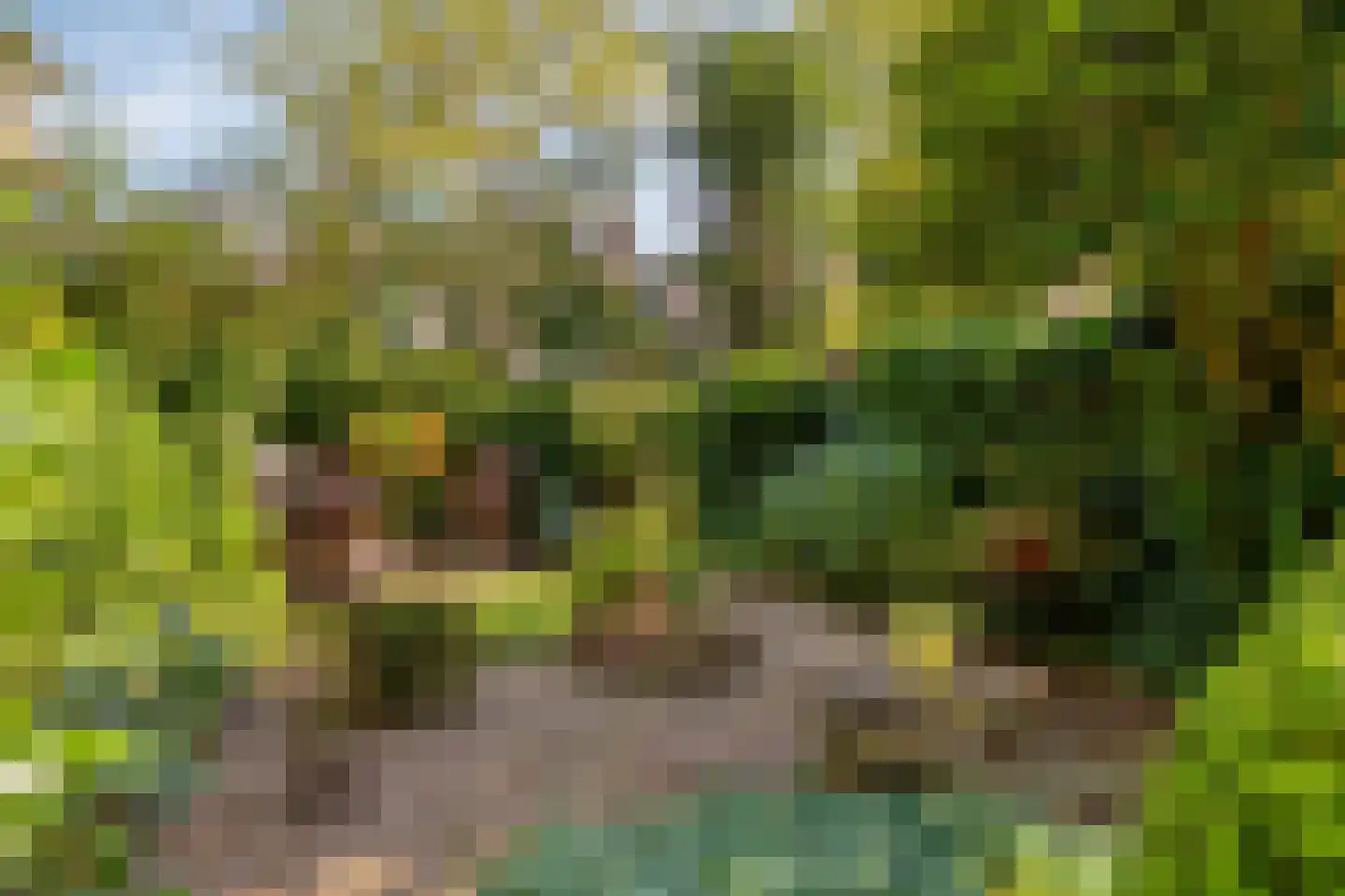 Bloemersmaborg 21 Groningen thumbnail 18