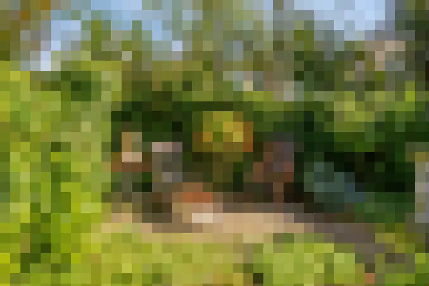 Bloemersmaborg 21 Groningen thumbnail 19