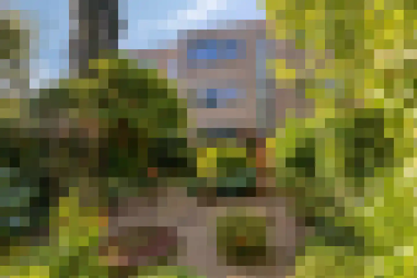 Bloemersmaborg 21 Groningen thumbnail 20