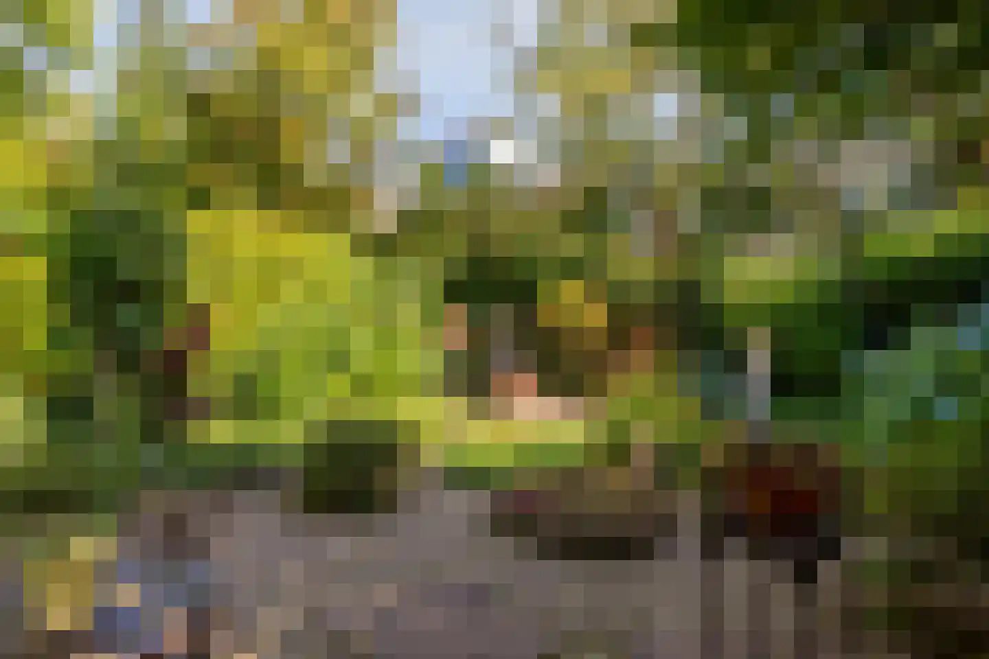 Bloemersmaborg 21 Groningen thumbnail 21