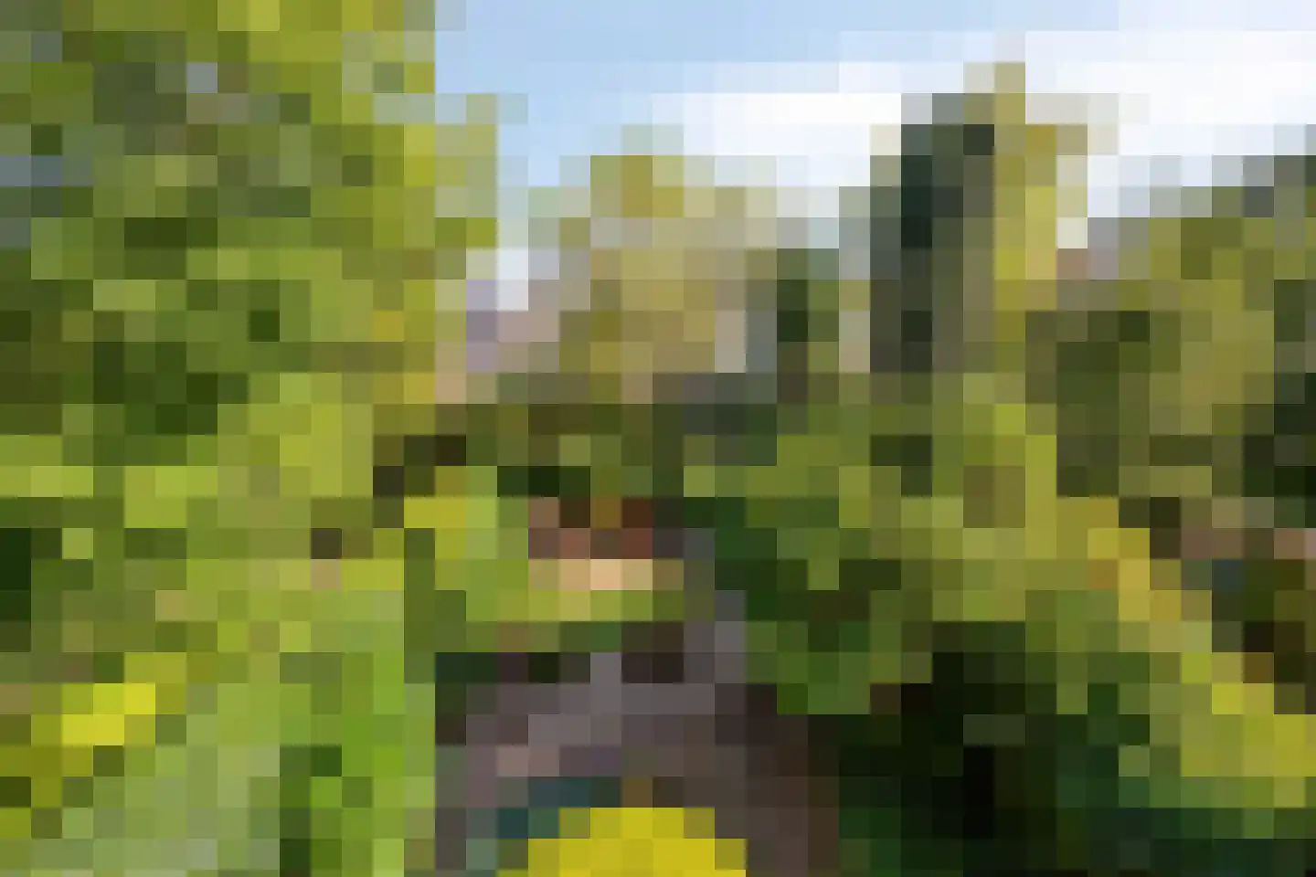 Bloemersmaborg 21 Groningen thumbnail 25