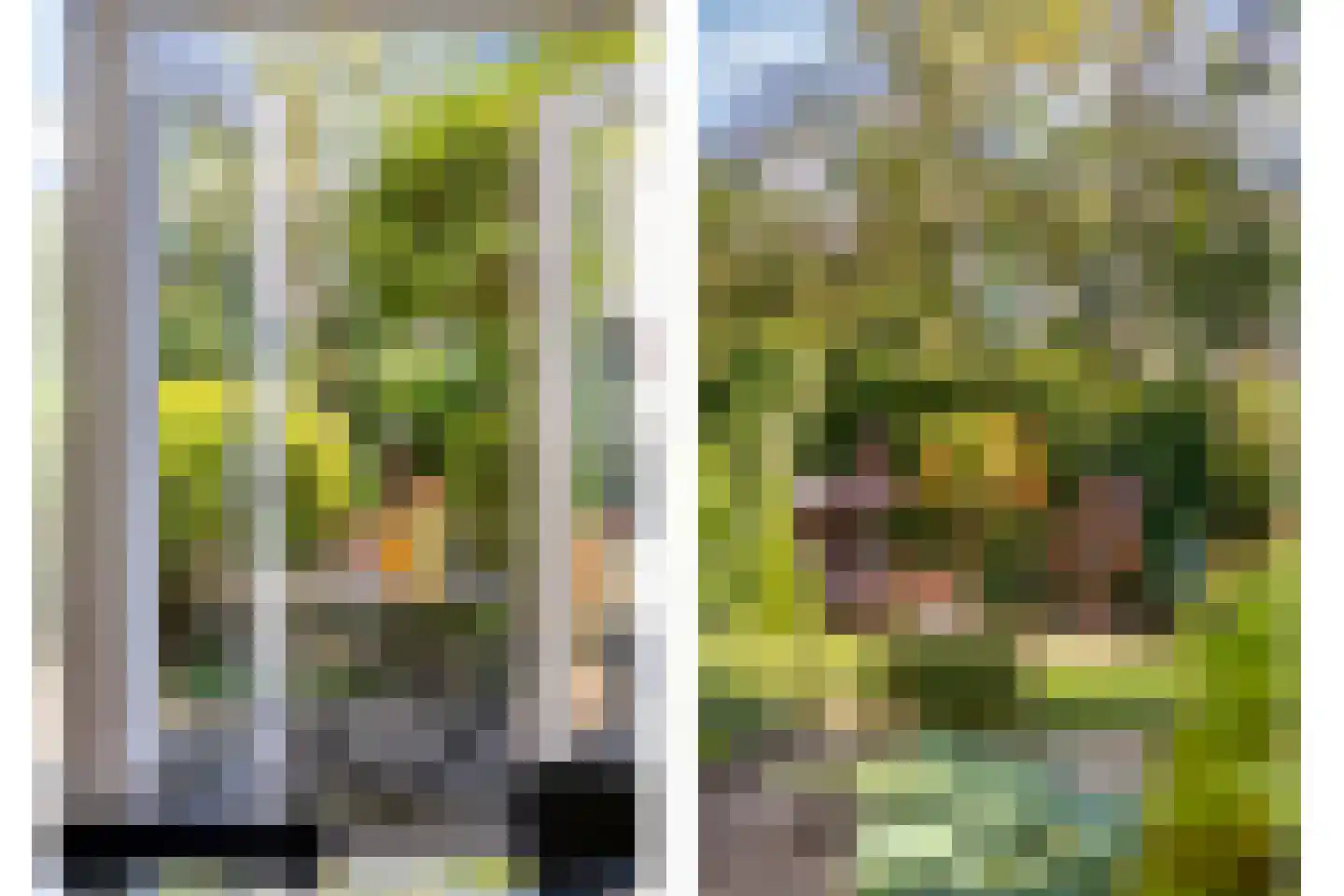 Bloemersmaborg 21 Groningen thumbnail 27