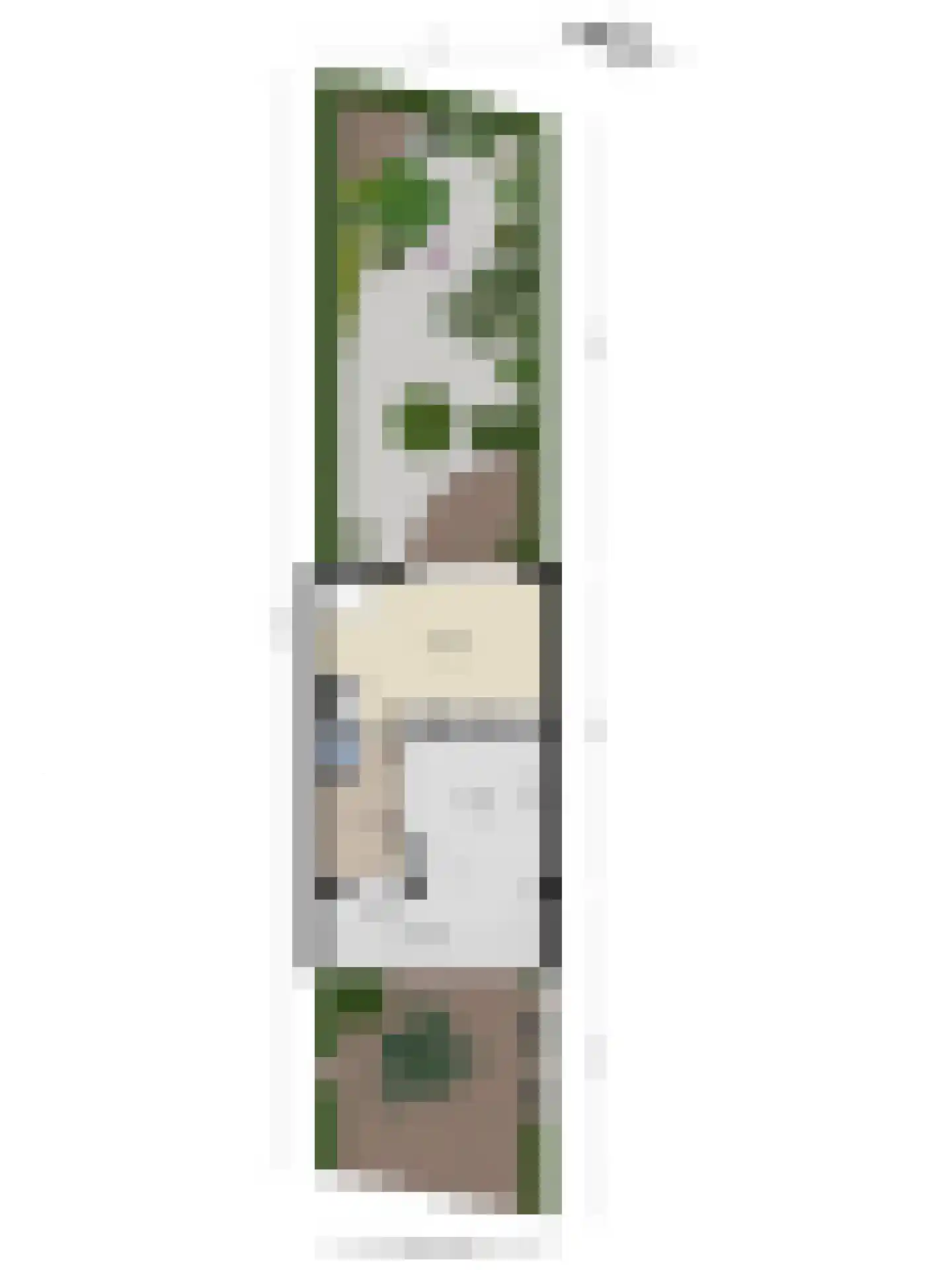 Bloemersmaborg 21 Groningen thumbnail 45